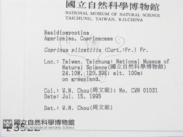 登錄號:F0003522藏品圖，第2張