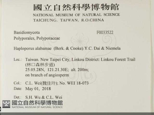 登錄號:F0033522藏品圖，第2張
