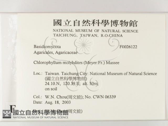 登錄號:F0026122藏品圖，第2張