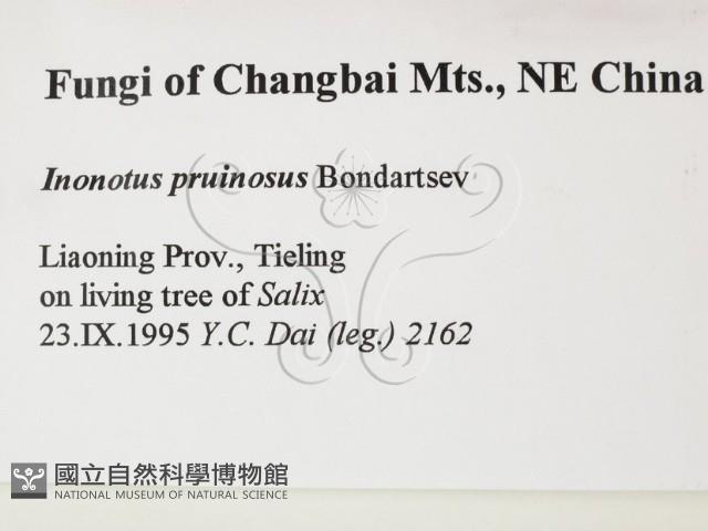 登錄號:F0006122藏品圖，第2張