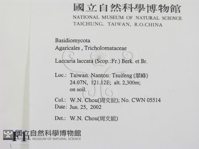 登錄號:F0016122藏品圖，第2張