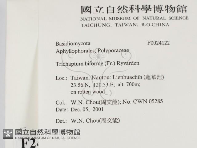 登錄號:F0024122藏品圖，第2張