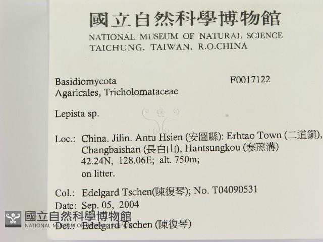 登錄號:F0017122藏品圖，第2張