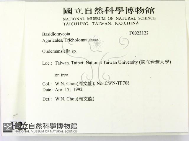 登錄號:F0023122藏品圖，第2張