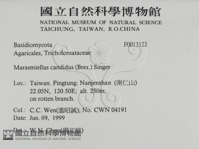 登錄號:F0013122藏品圖，第2張