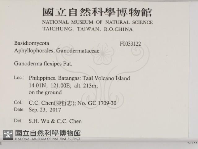 登錄號:F0033122藏品圖，第2張