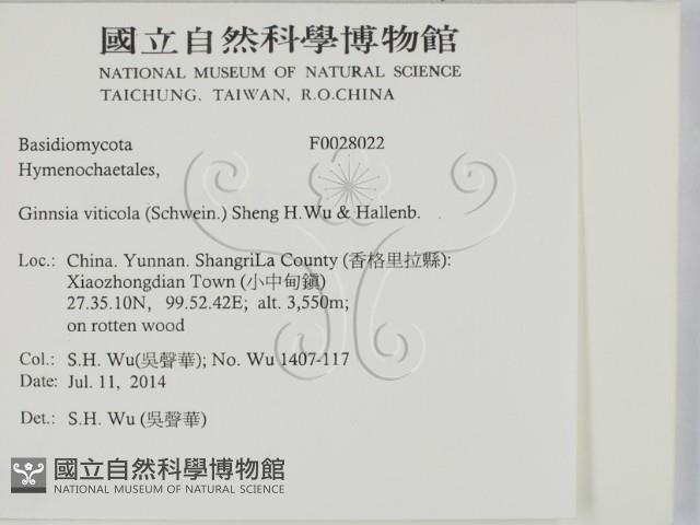 登錄號:F0028022藏品圖，第2張