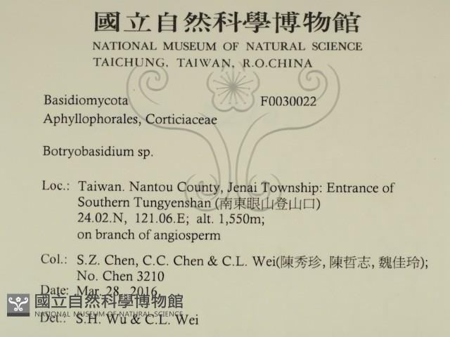 登錄號:F0030022藏品圖，第2張