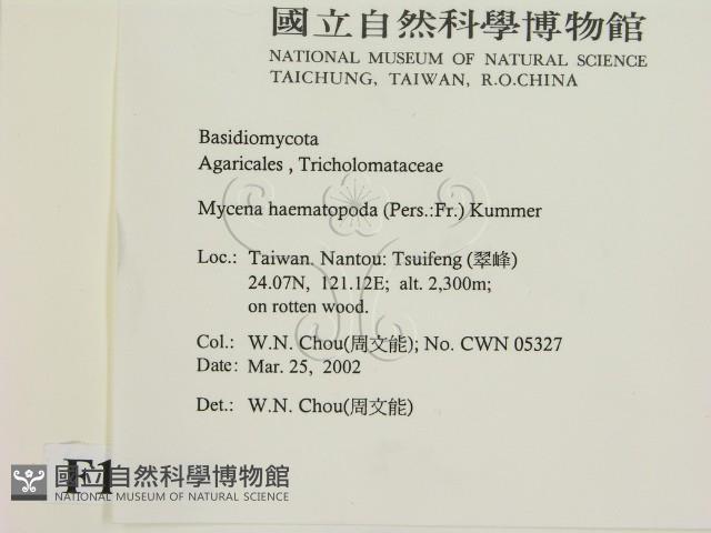 登錄號:F0016022藏品圖，第2張