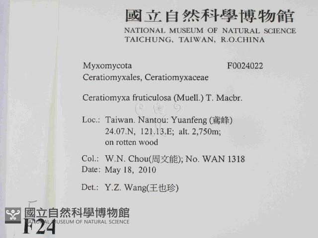 登錄號:F0024022藏品圖，第2張