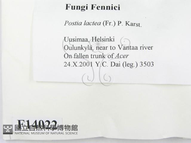 登錄號:F0014022藏品圖，第2張