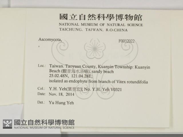 登錄號:F0032022藏品圖，第2張