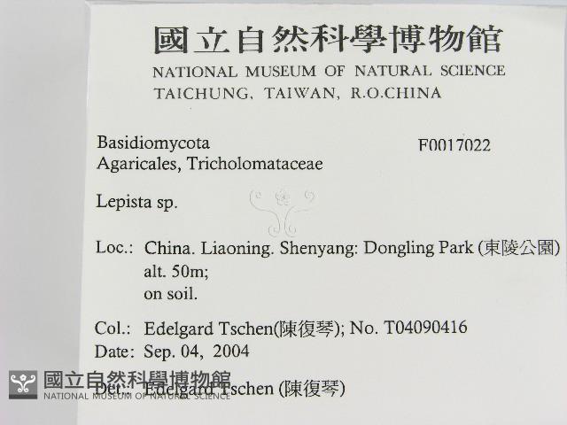 登錄號:F0017022藏品圖，第2張