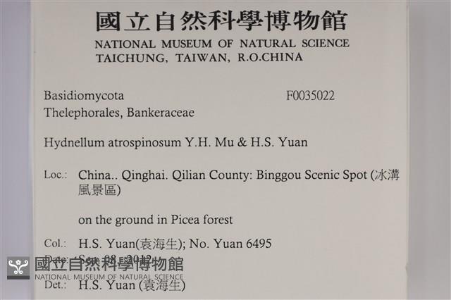 登錄號:F0035022藏品圖，第2張