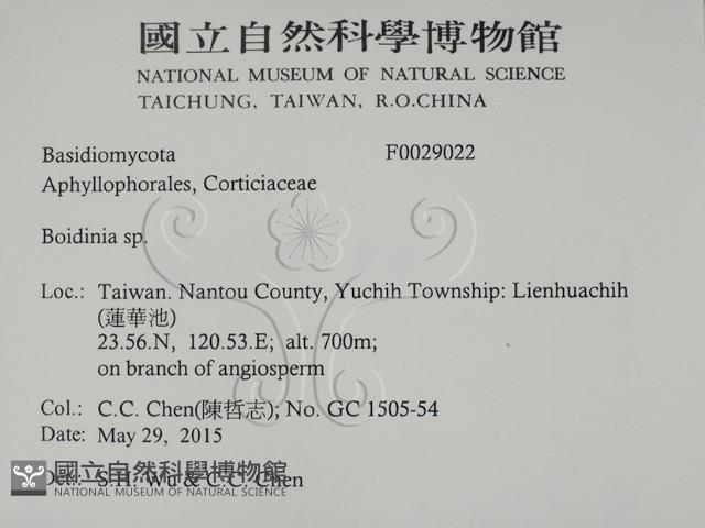 登錄號:F0029022藏品圖，第2張