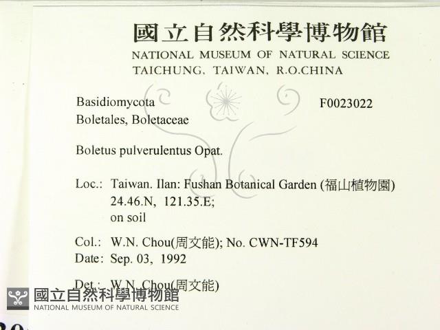 登錄號:F0023022藏品圖，第2張
