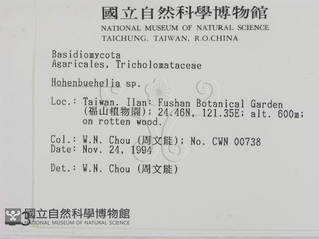 登錄號:F0003022藏品圖，第2張