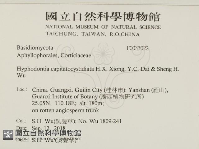 登錄號:F0033022藏品圖，第2張