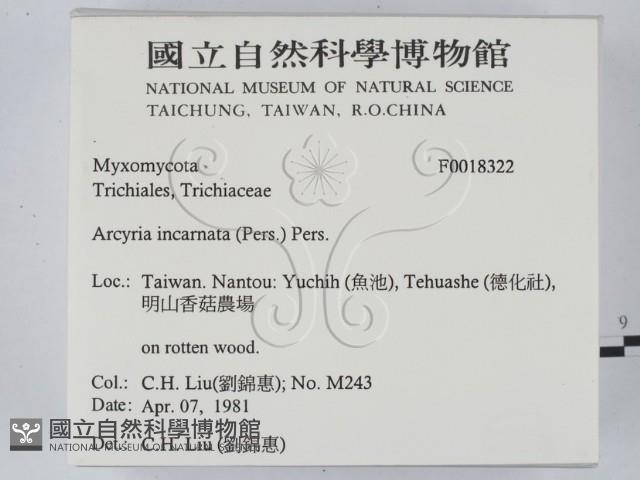 登錄號:F0018322藏品圖，第2張