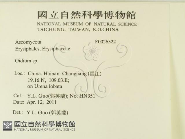 登錄號:F0026322藏品圖，第2張