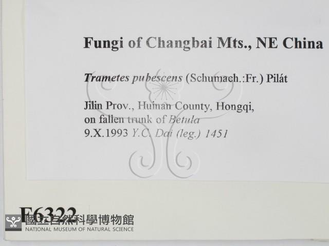 登錄號:F0006322藏品圖，第2張