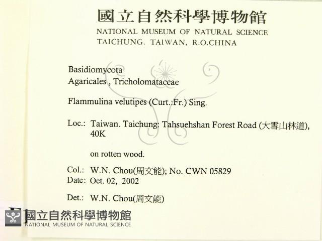 登錄號:F0016322藏品圖，第2張