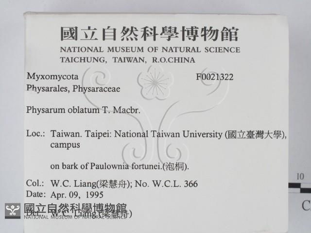 登錄號:F0021322藏品圖，第2張