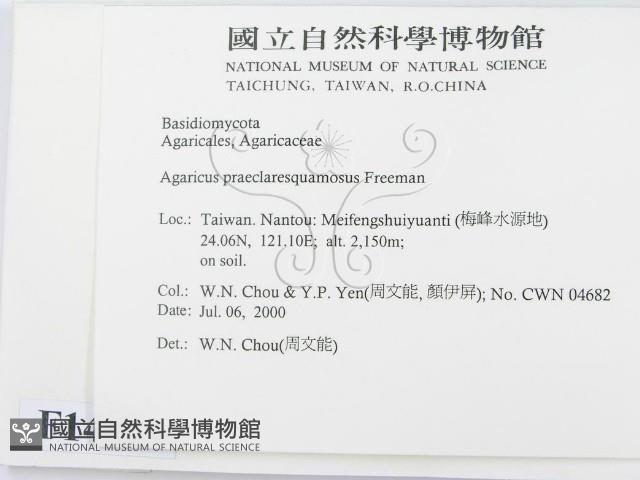 登錄號:F0014322藏品圖，第2張