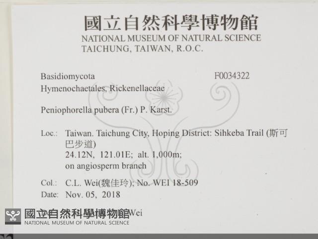 登錄號:F0034322藏品圖，第2張