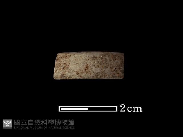 陶環藏品圖，第2張