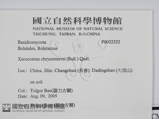 登錄號:F0022322藏品圖，第2張