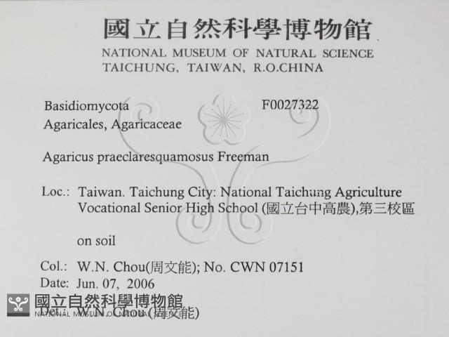 登錄號:F0027322藏品圖，第2張