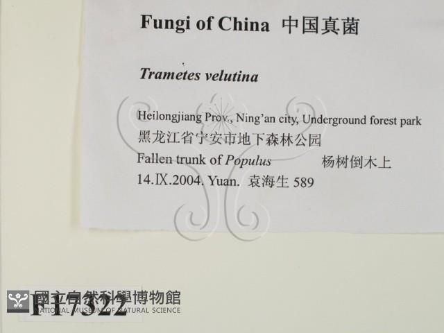登錄號:F0017322藏品圖，第2張