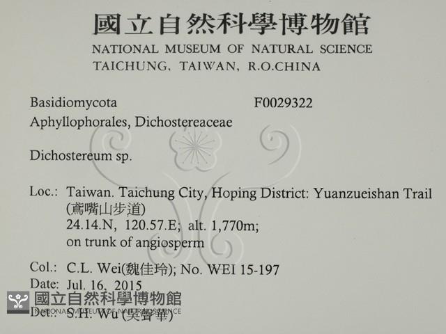 登錄號:F0029322藏品圖，第2張