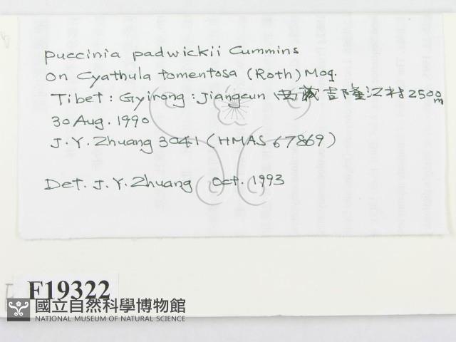 登錄號:F0019322藏品圖，第2張