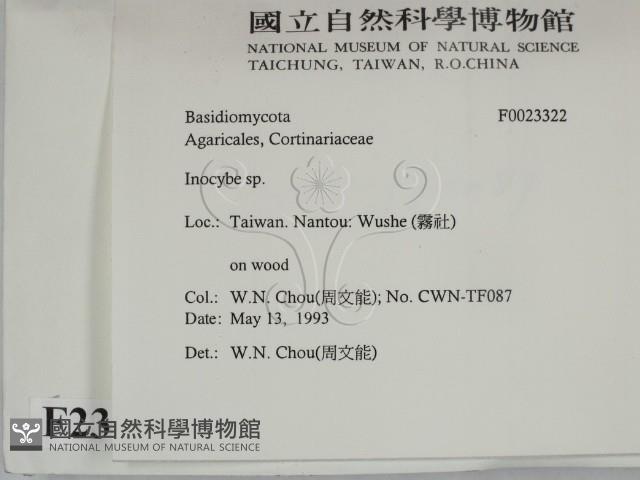 登錄號:F0023322藏品圖，第2張