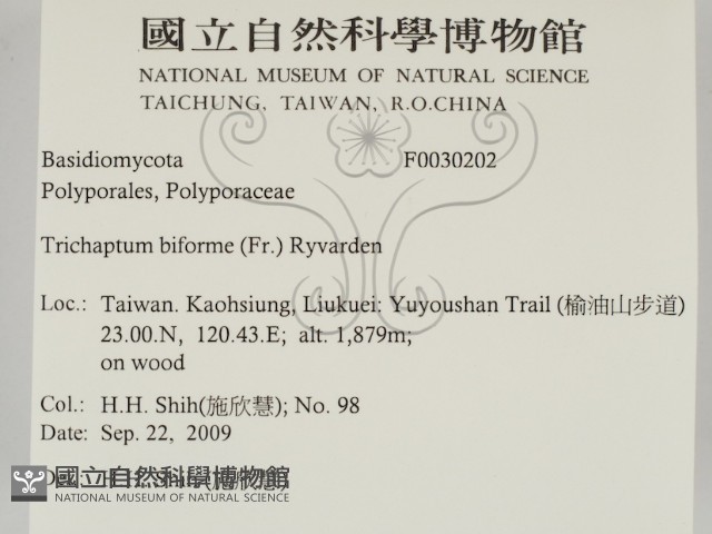 登錄號:F0030202藏品圖，第2張