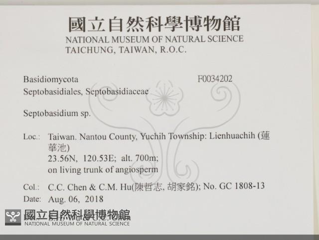 登錄號:F0034202藏品圖，第2張