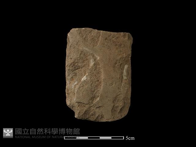 磨製斧鋤形器藏品圖，第1張