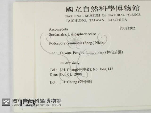 登錄號:F0023202藏品圖，第2張