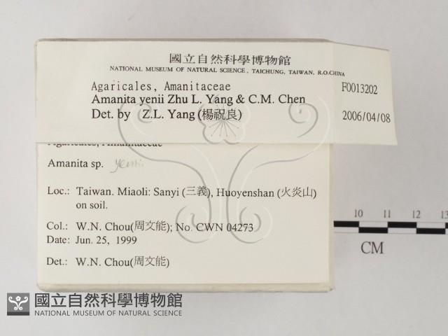 登錄號:F0013202藏品圖，第2張