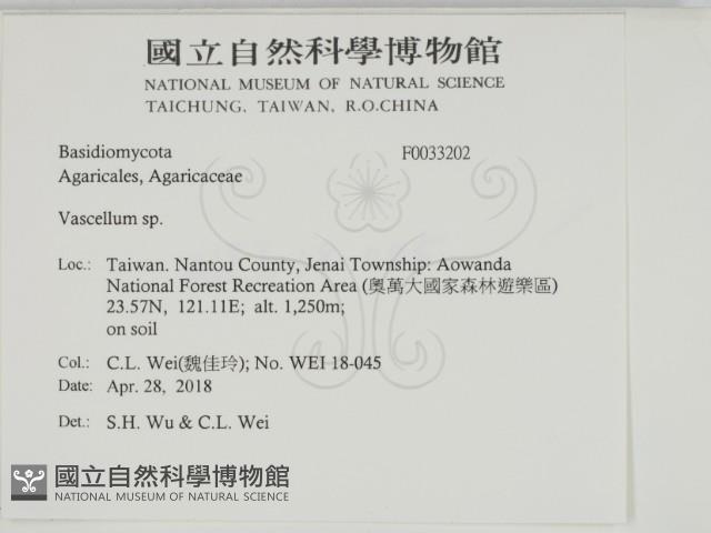 登錄號:F0033202藏品圖，第2張
