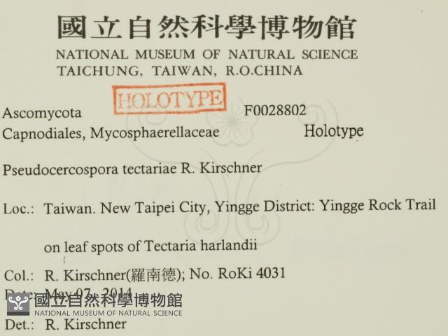 登錄號:F0028802藏品圖，第2張