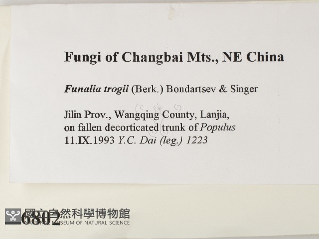 登錄號:F0006802藏品圖，第2張