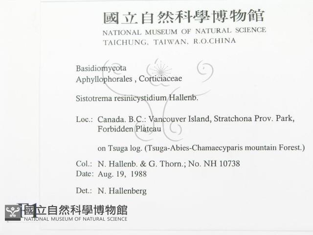 登錄號:F0016802藏品圖，第2張