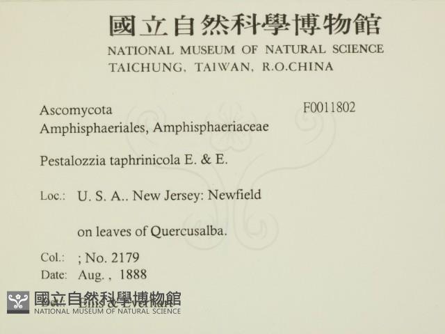 登錄號:F0011802藏品圖，第2張