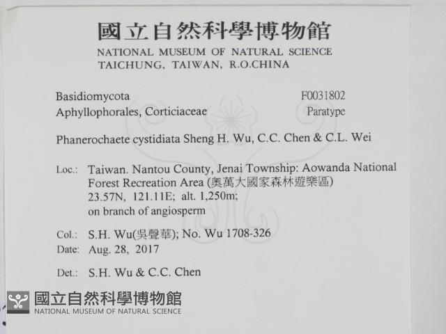 登錄號:F0031802藏品圖，第2張