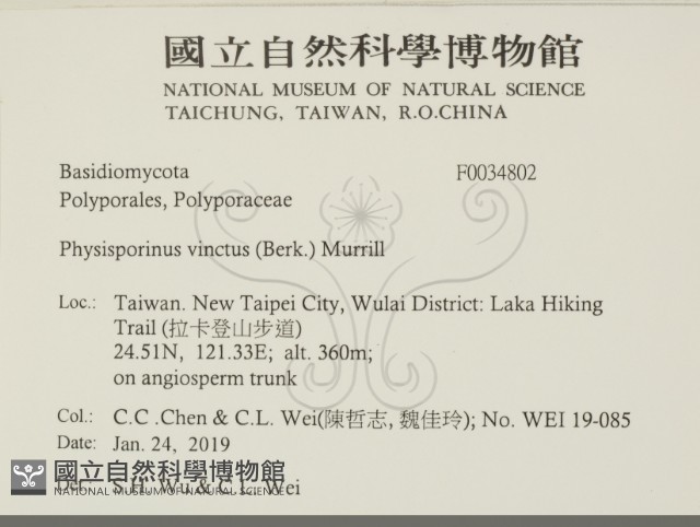 登錄號:F0034802藏品圖，第2張