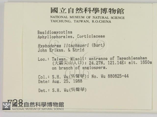 登錄號:F0002802藏品圖，第2張