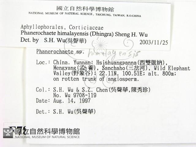 登錄號:F0007802藏品圖，第2張